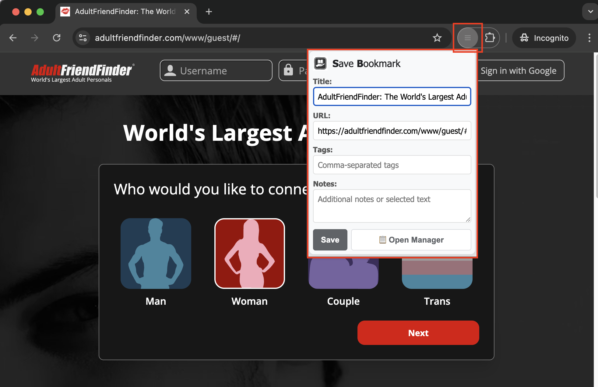 Extension Popup Interface